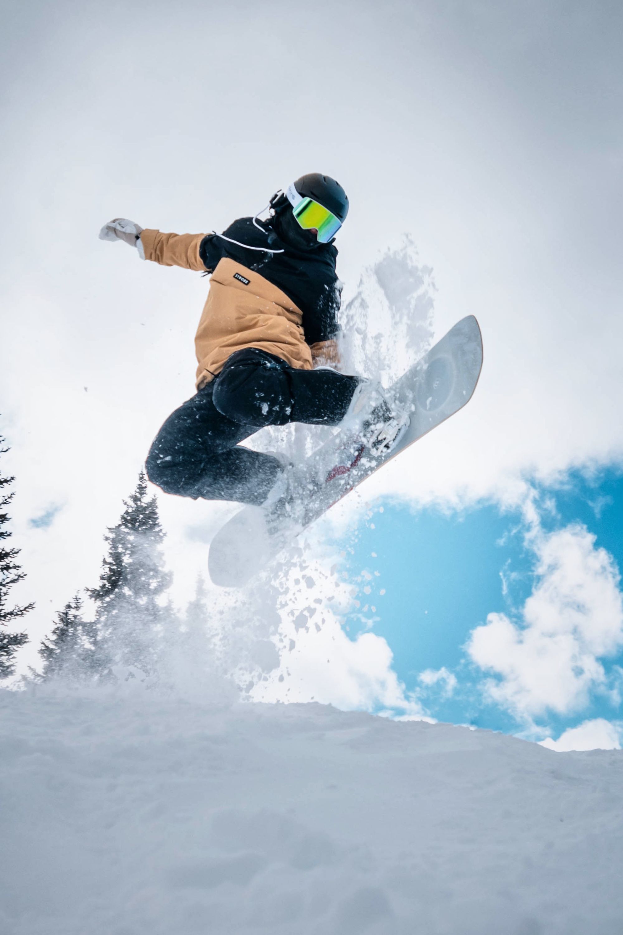 Luna Snowboard Jacket Desert - Men's