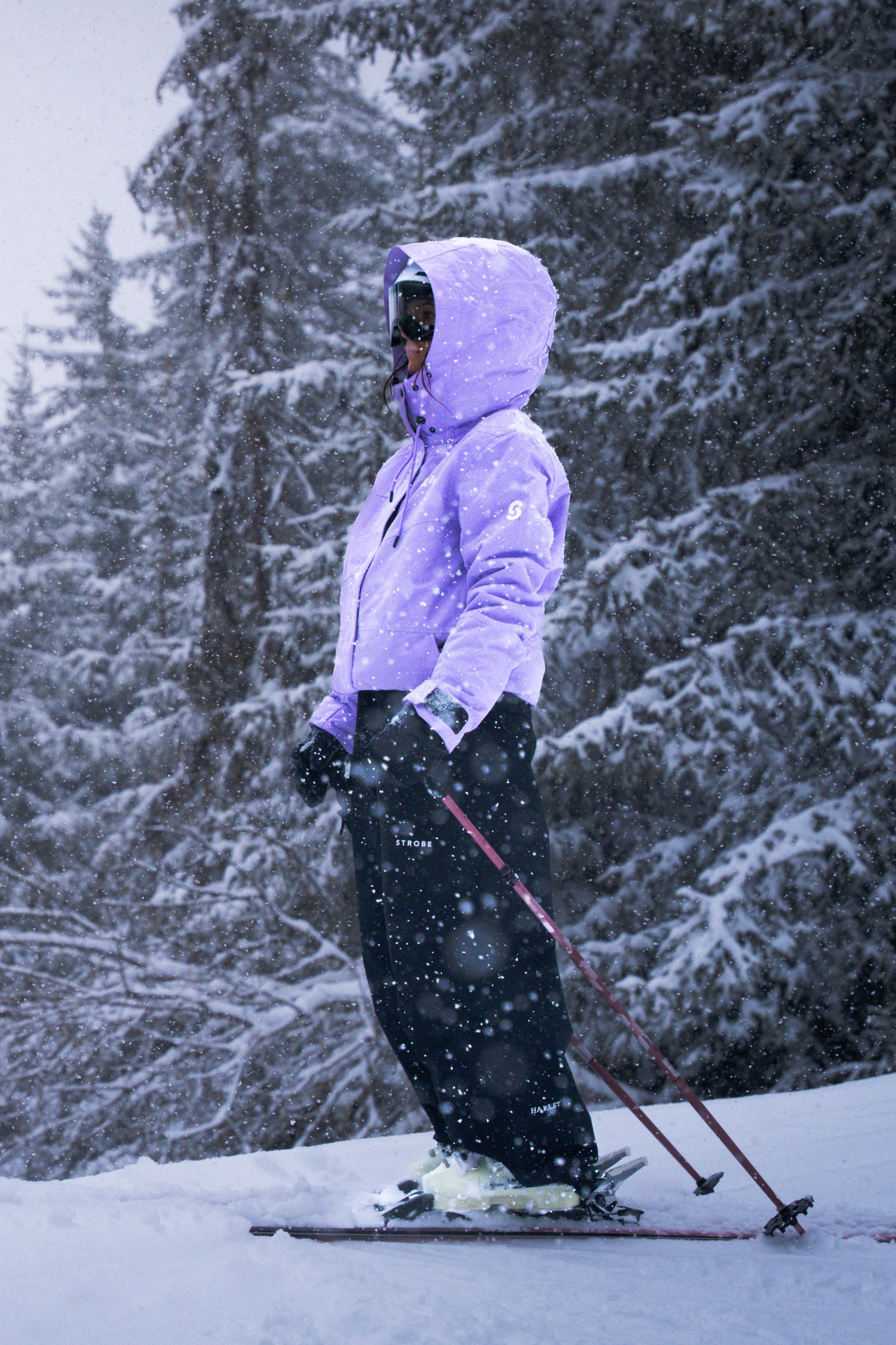 Aura Ski Jacket Pale Violet - Women's